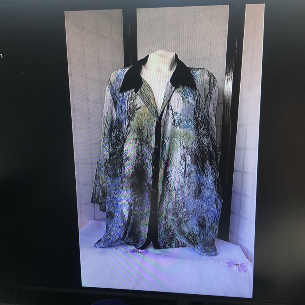 Ladies 4x sheer long sleeved blouse, soft colors, black collar and button trim